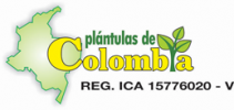 Plantulas de Colombia Sutamarchan Boyacá Colombia